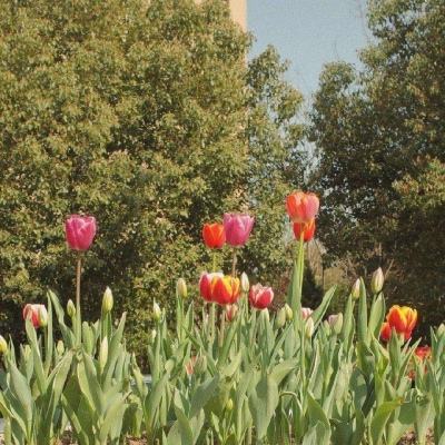 ROR体育官网登录入口app下载