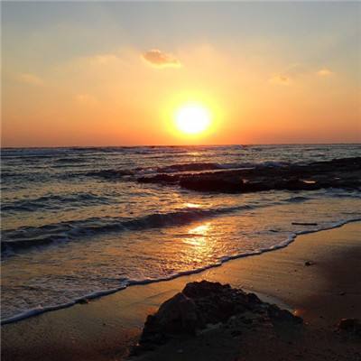 威斯尼斯人wns8888