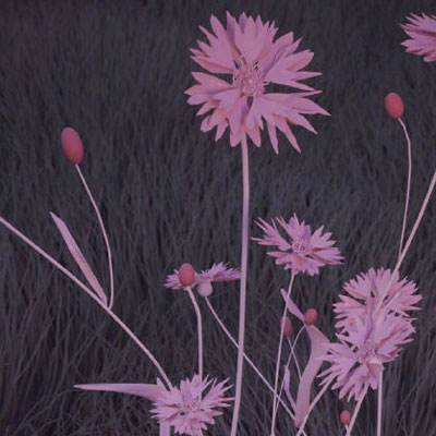 大众彩票入口welcome·官方网站