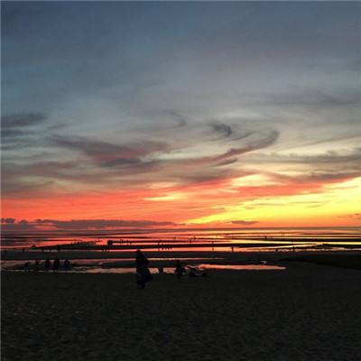 皇家88手机app下载